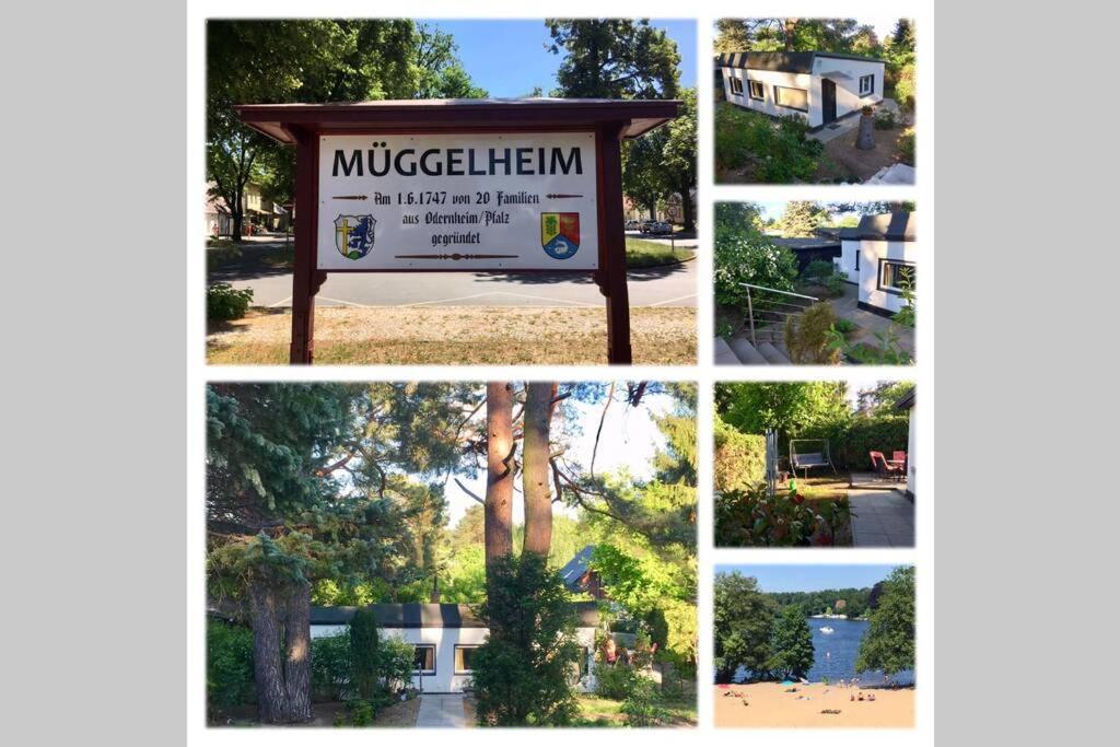 Ferienwohnung Green Garden برلين المظهر الخارجي الصورة